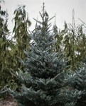 8c0a6c0e15c48be0e631f97a85af6406 — копия1